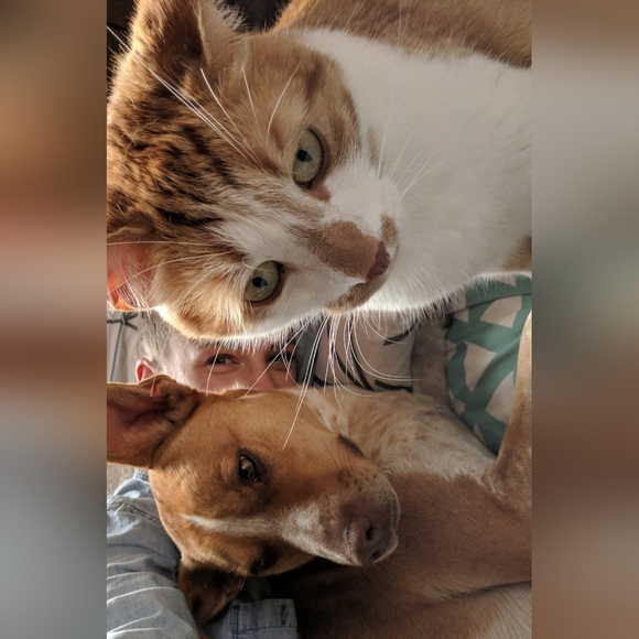 Meet your Posher, Em - Picture 5 of 8